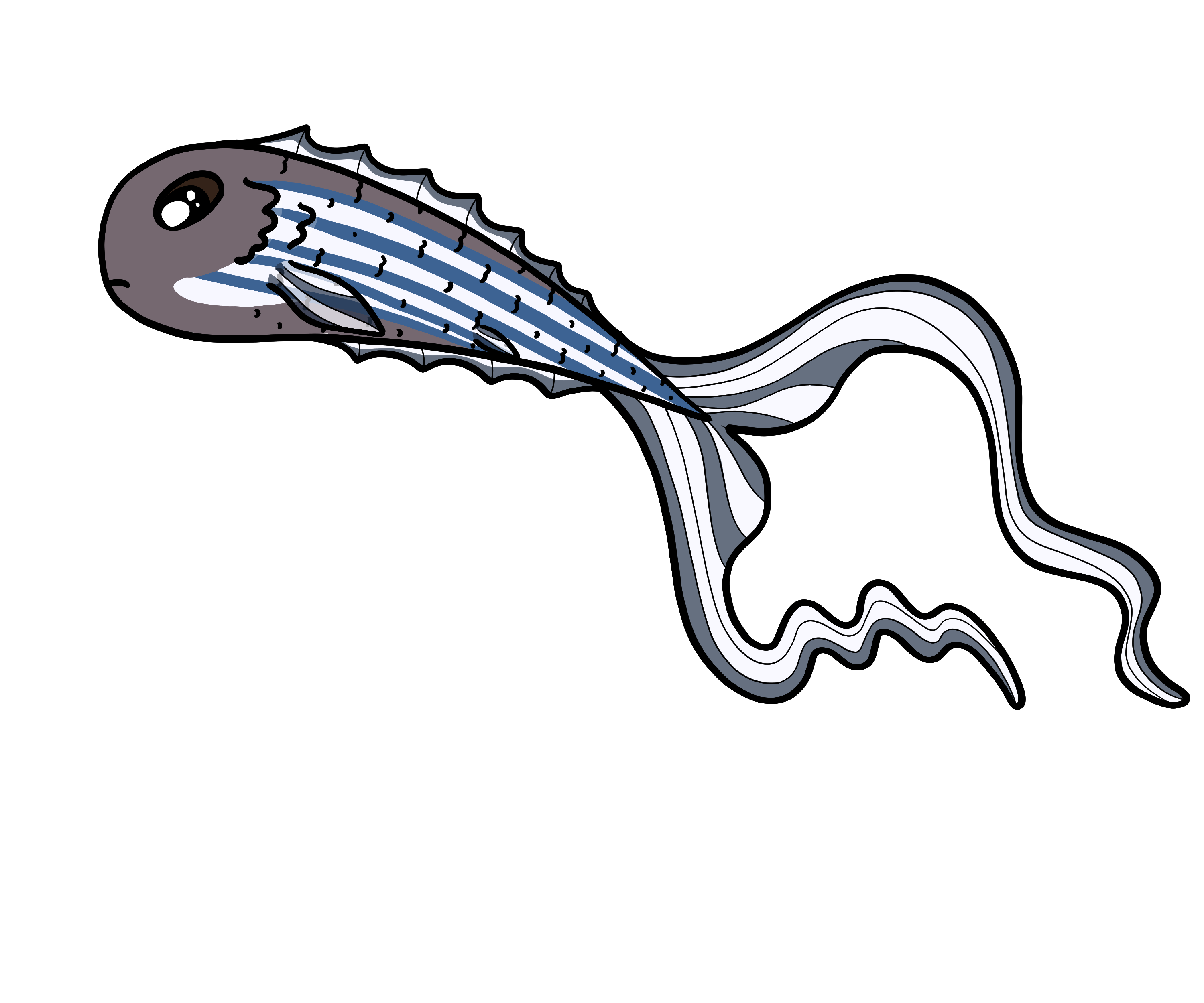 Blub