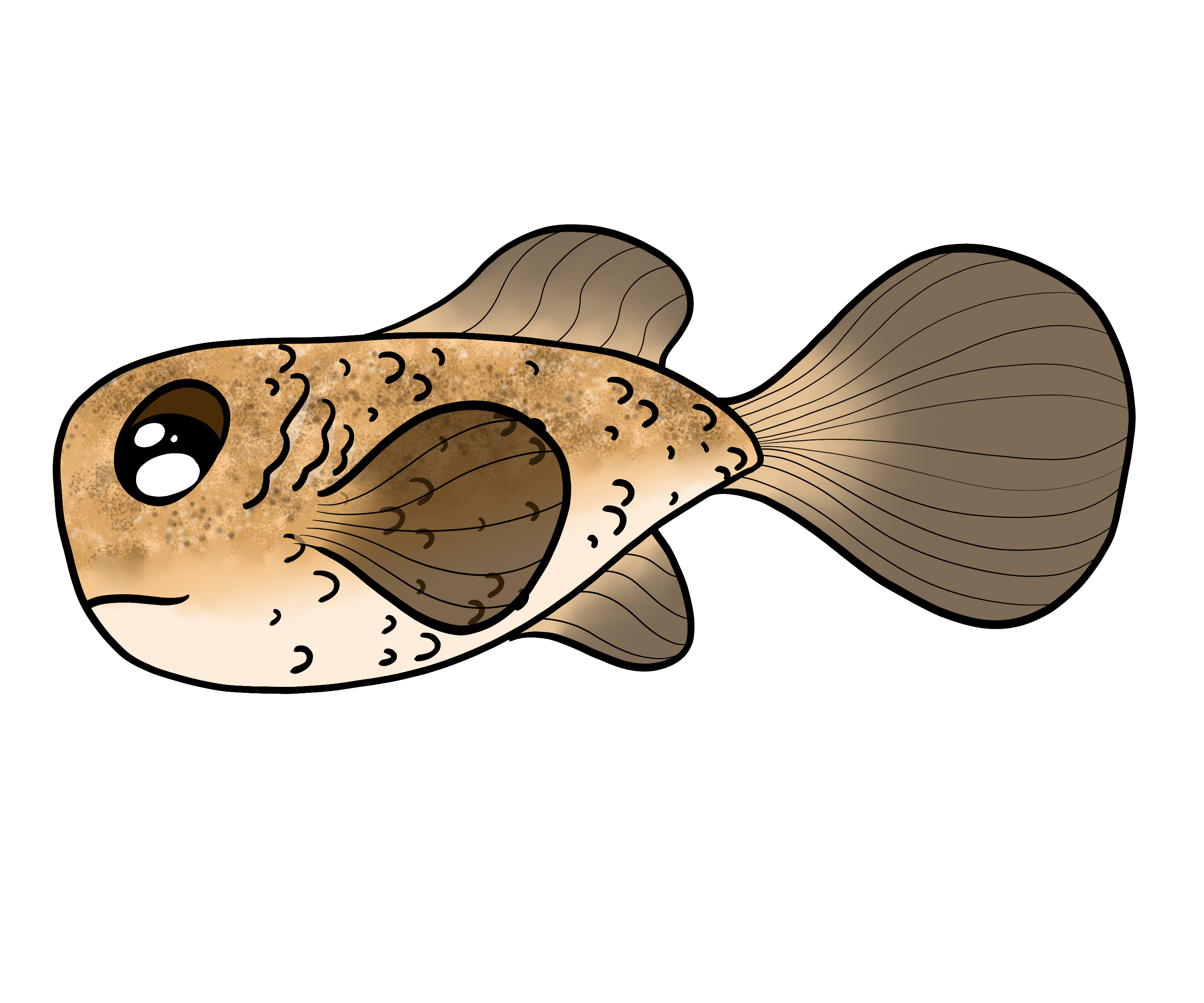 Blub