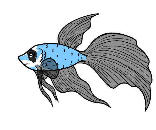 Blub