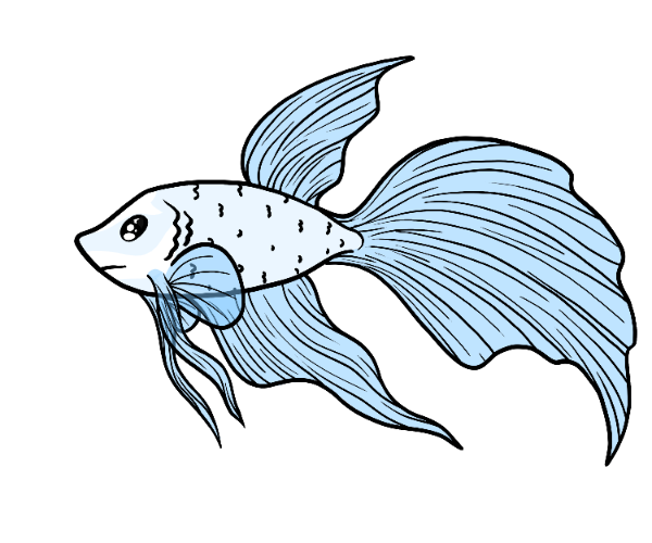 Blub