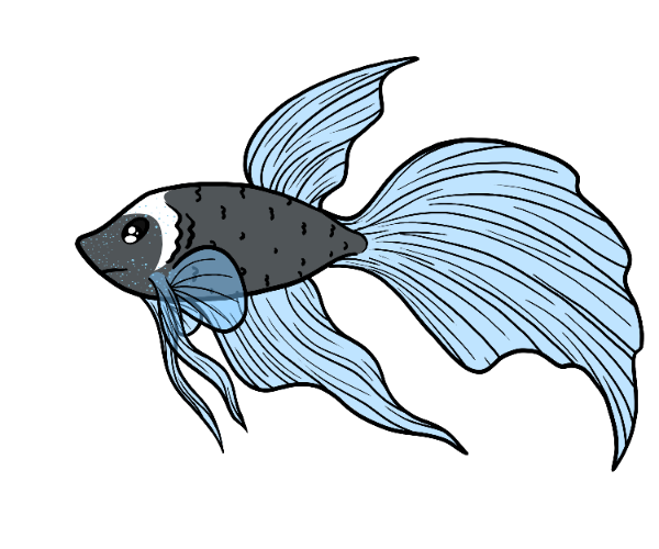 Blub