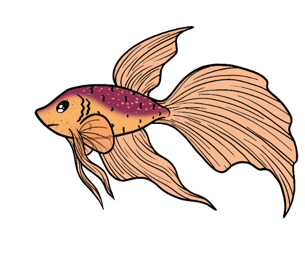 Moonlit Betta