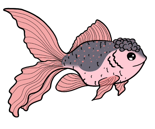 Cozy Fancy Goldfish