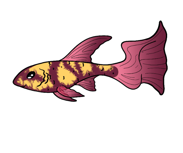 Tangle Guppy
