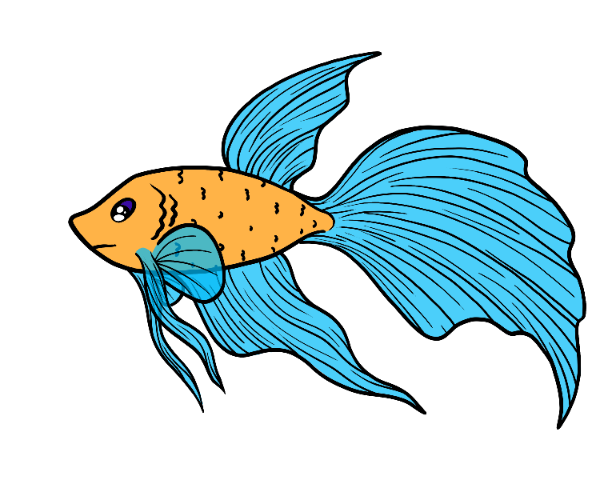 Drift Betta