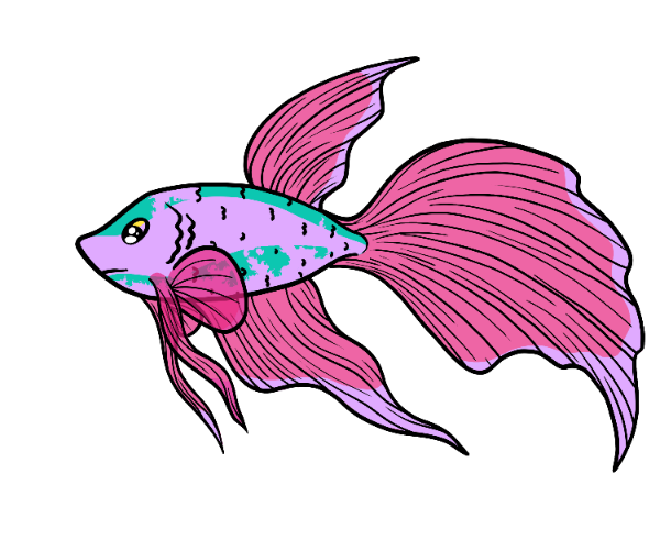 Unnamed Fry