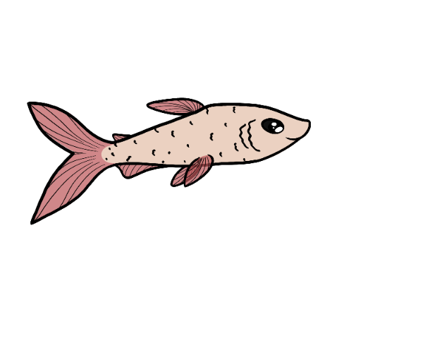 Unnamed Fry