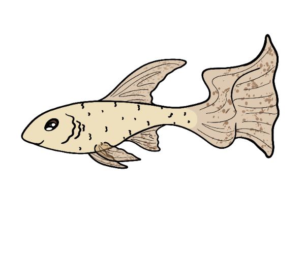 Silken Glimmerfin