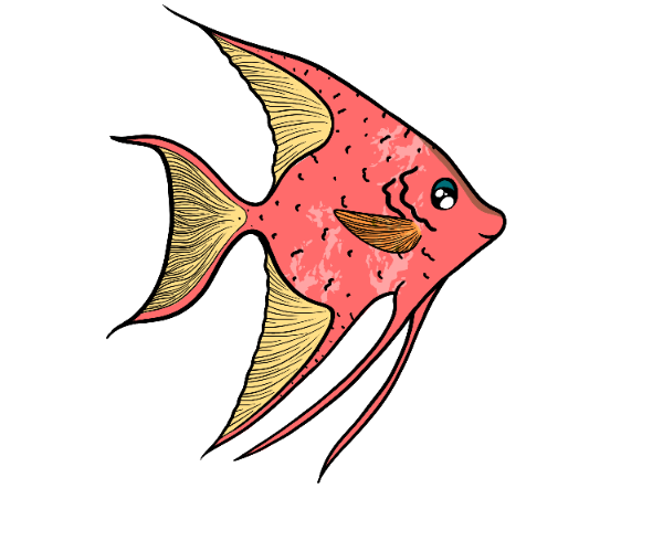 Hidden Moonfin