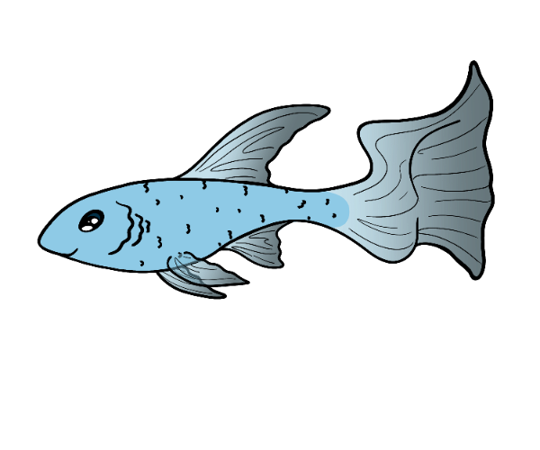 Pebble Littlefin