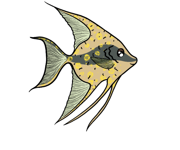 Soft Wingfin