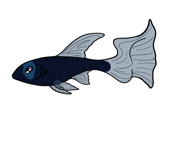 Spike Littlefin