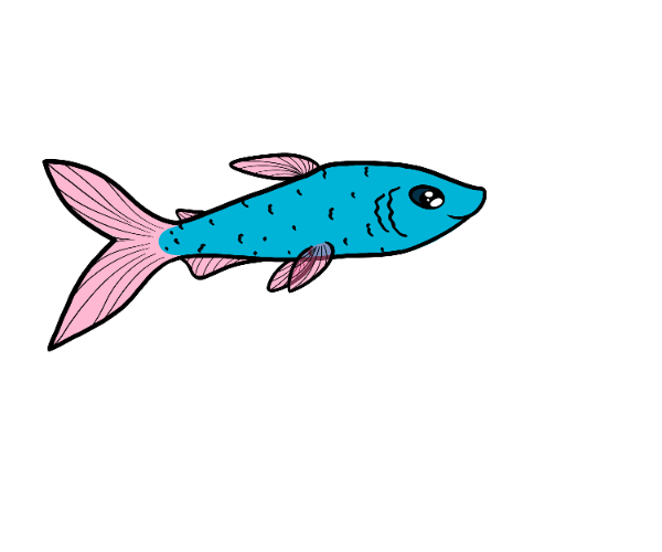 Rush Dartfish