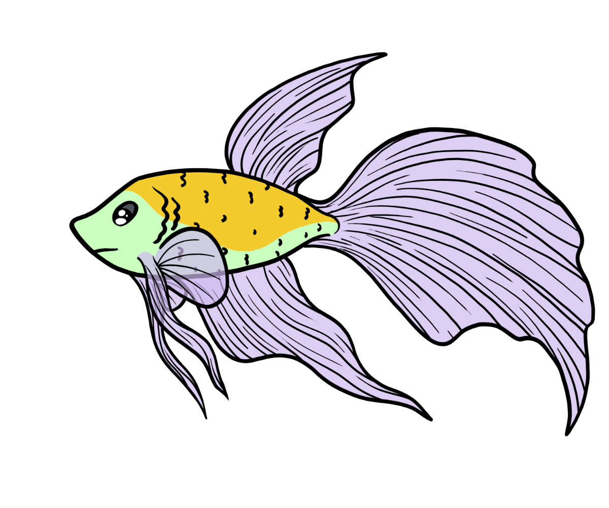 Vex Betta