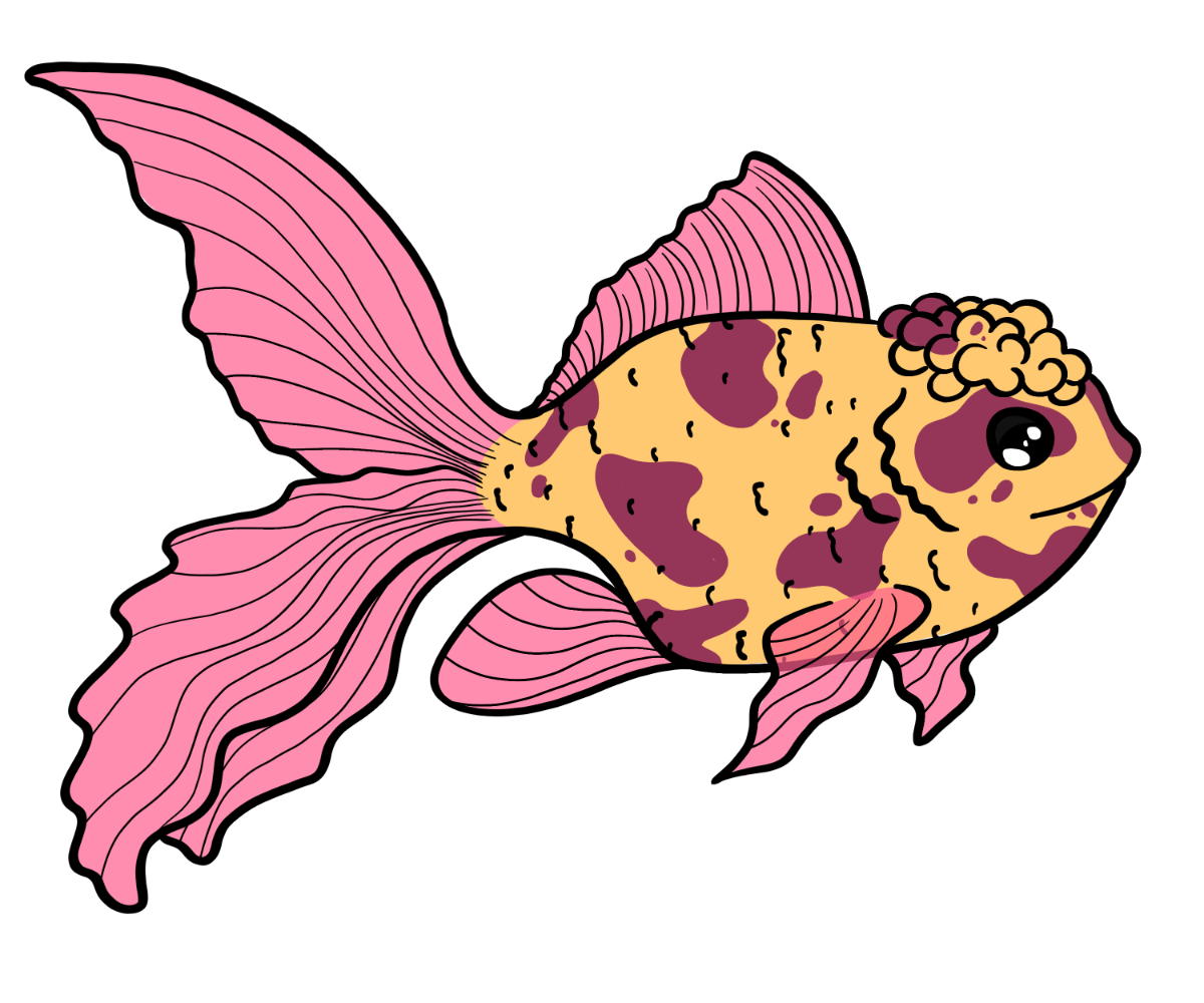 Fizz Fancyfin