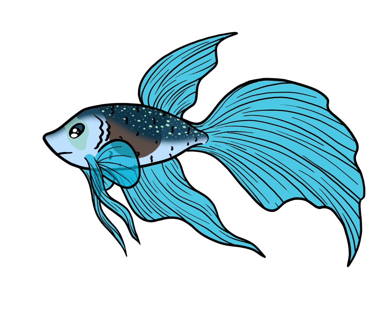 Dart Betta