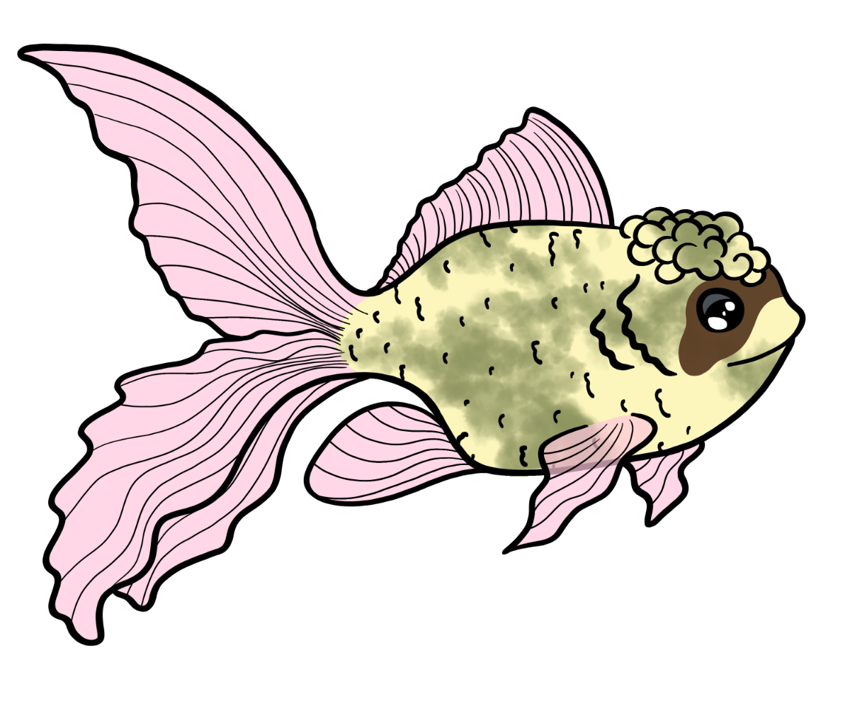 Pebble Fancyfin