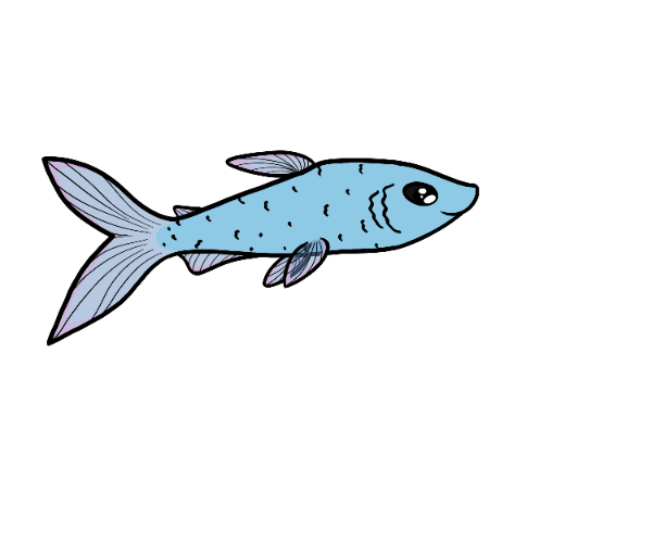 Clash Dartfish