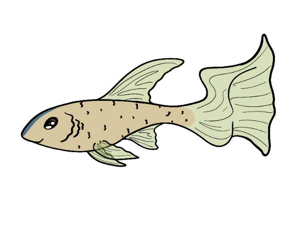 Pebble Guppy
