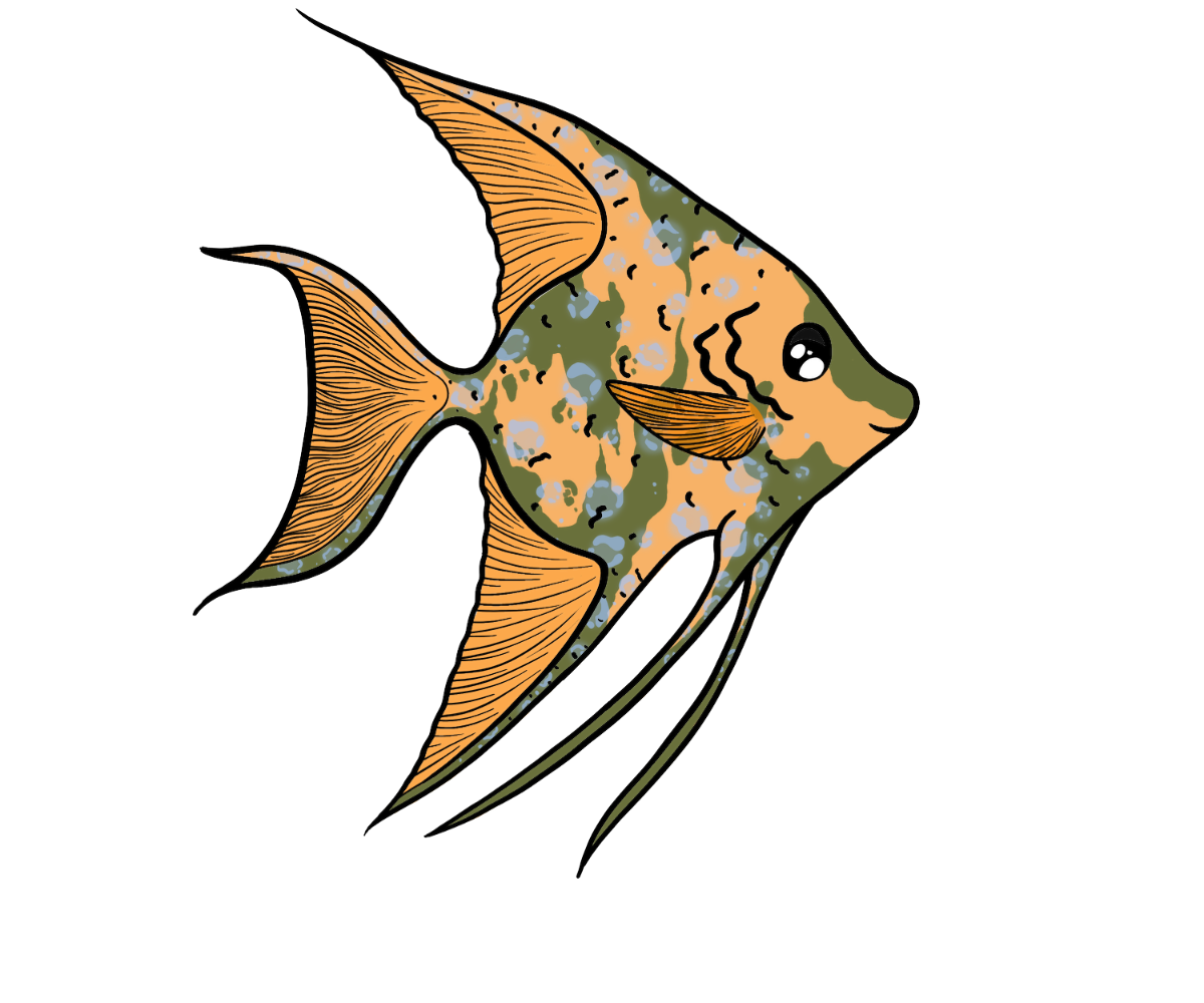 Pearl Wingfin