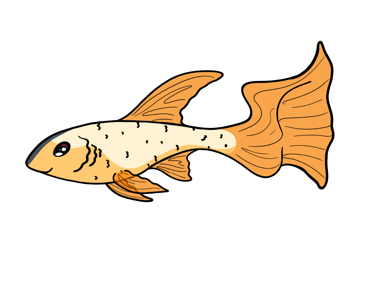 Question Ribbonfish