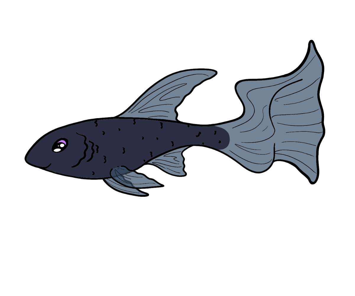 Velvet Ribbonfish