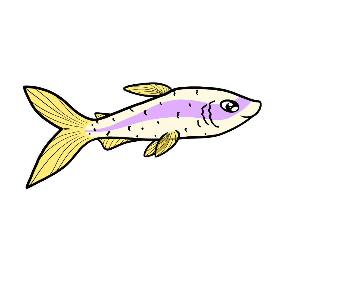 Hush Dartfish