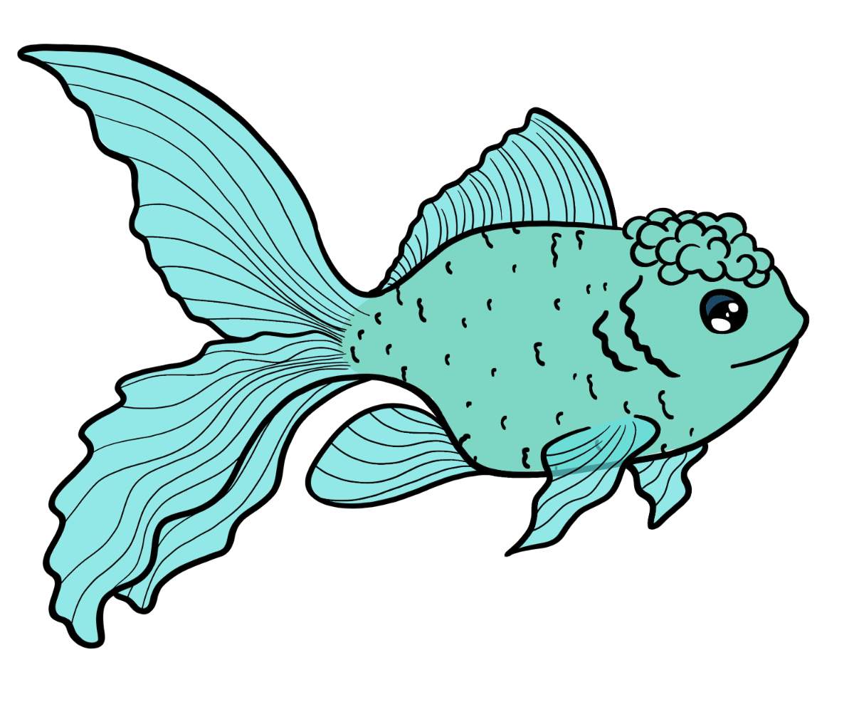 Anchor Fancyfin