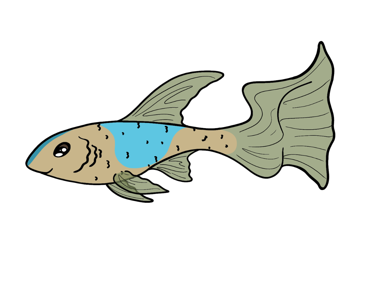 Skip Guppy
