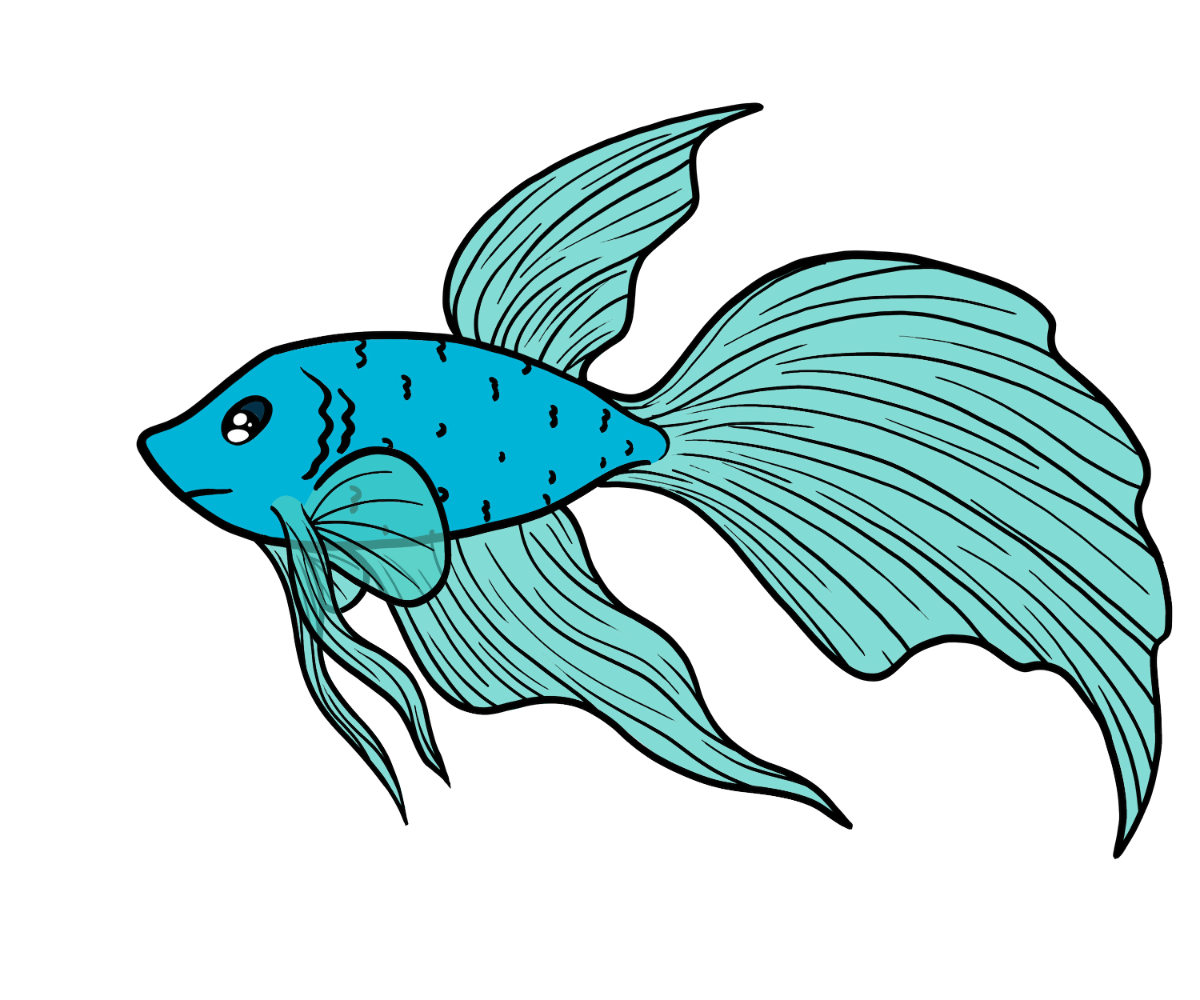 Crown Silkfin
