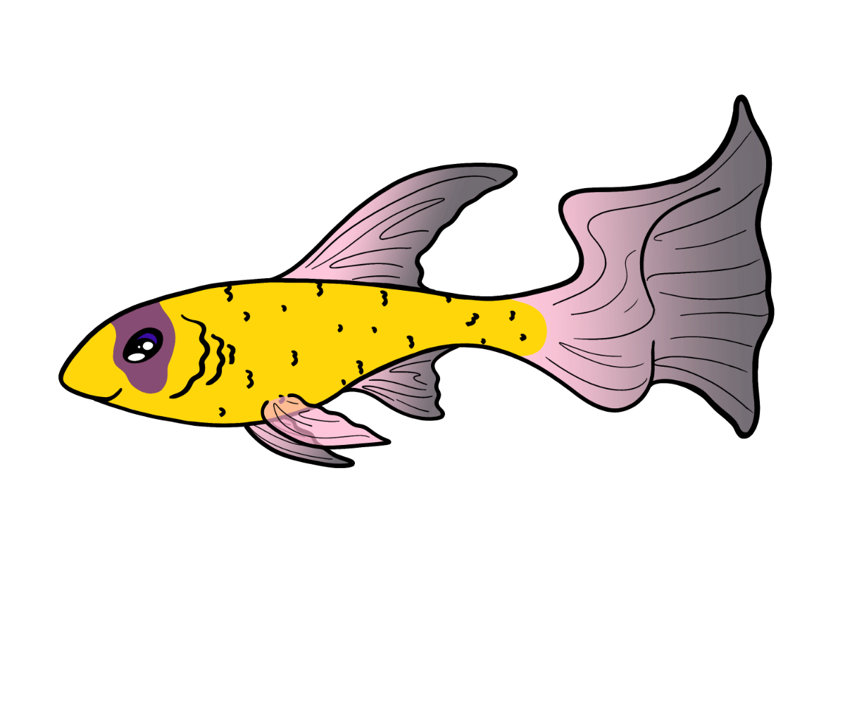 Ruckus Glimmerfin