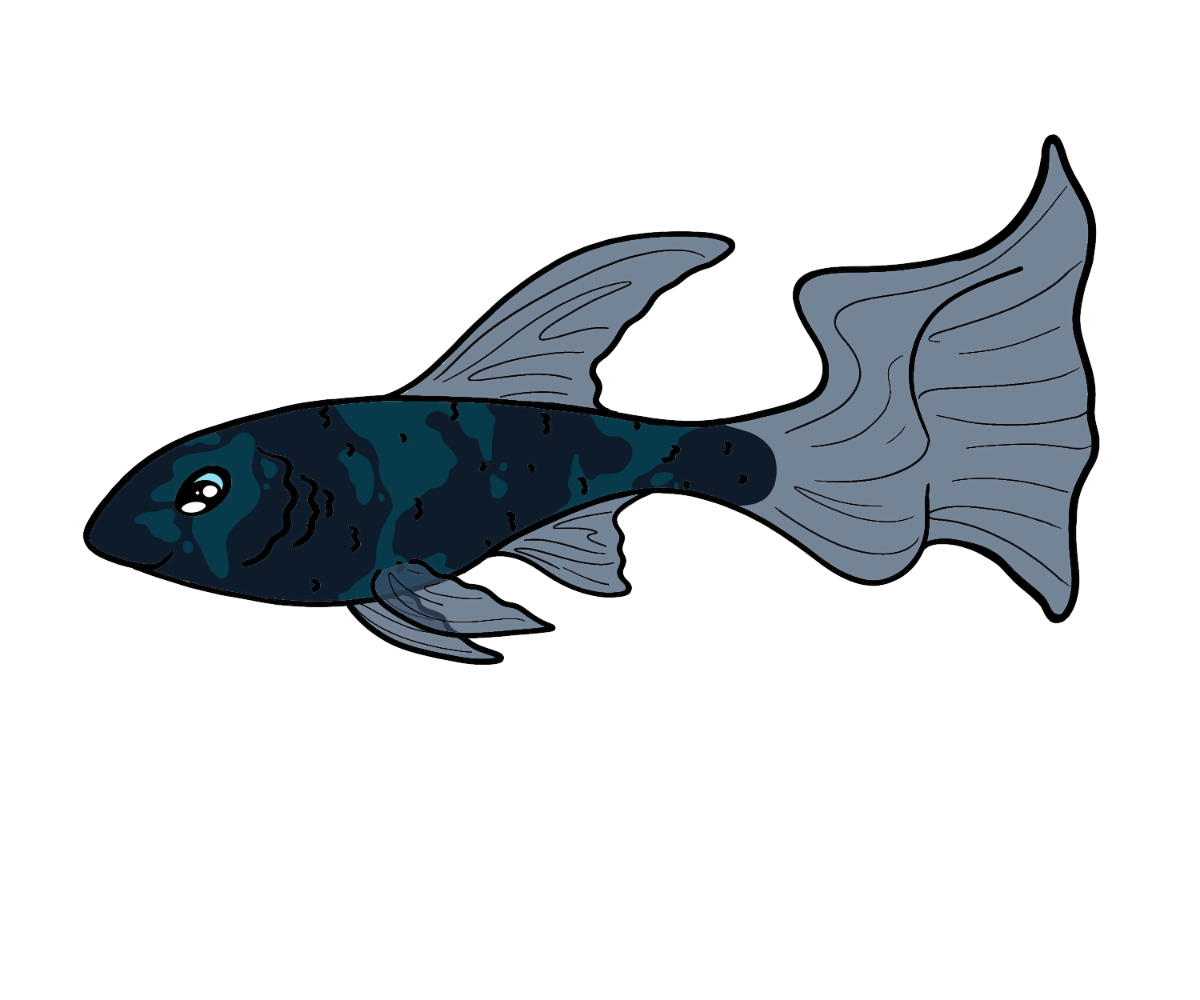 Noodle Glimmerfin