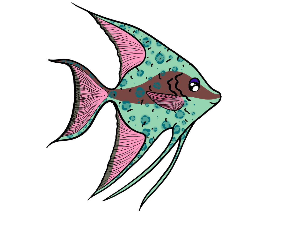 Cozy Angelfish