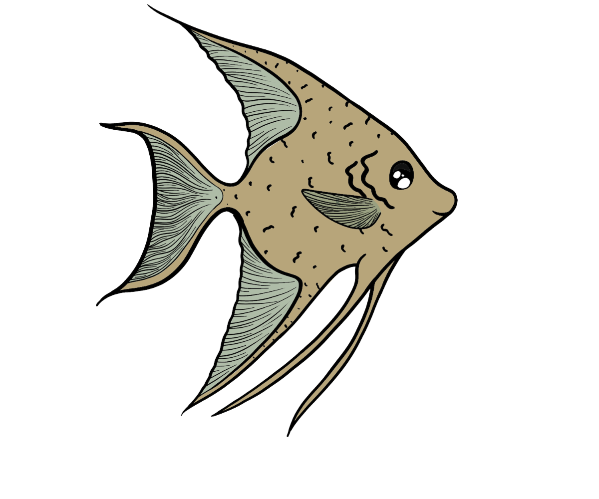 Torch Wingfin