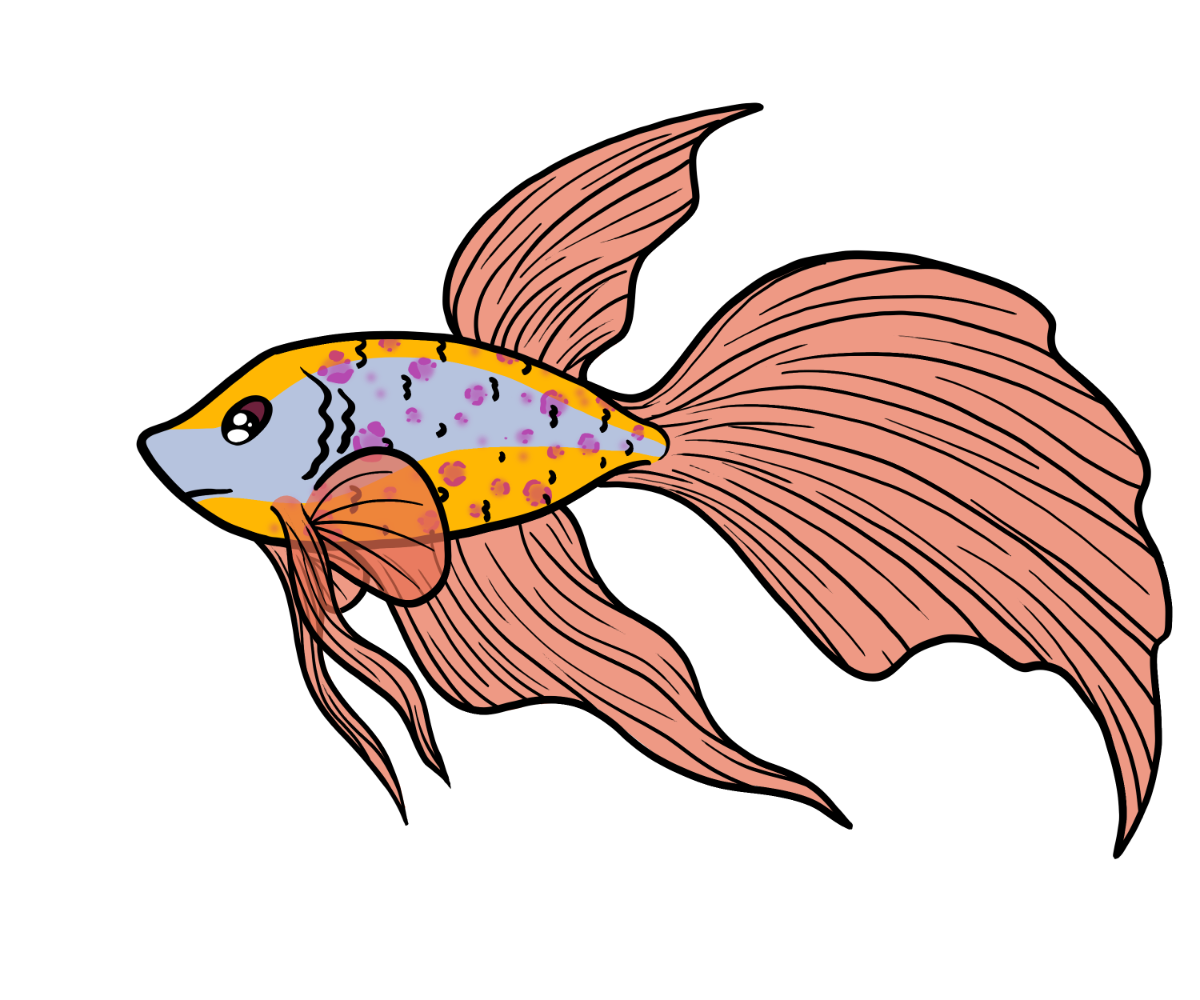 Tide Betta