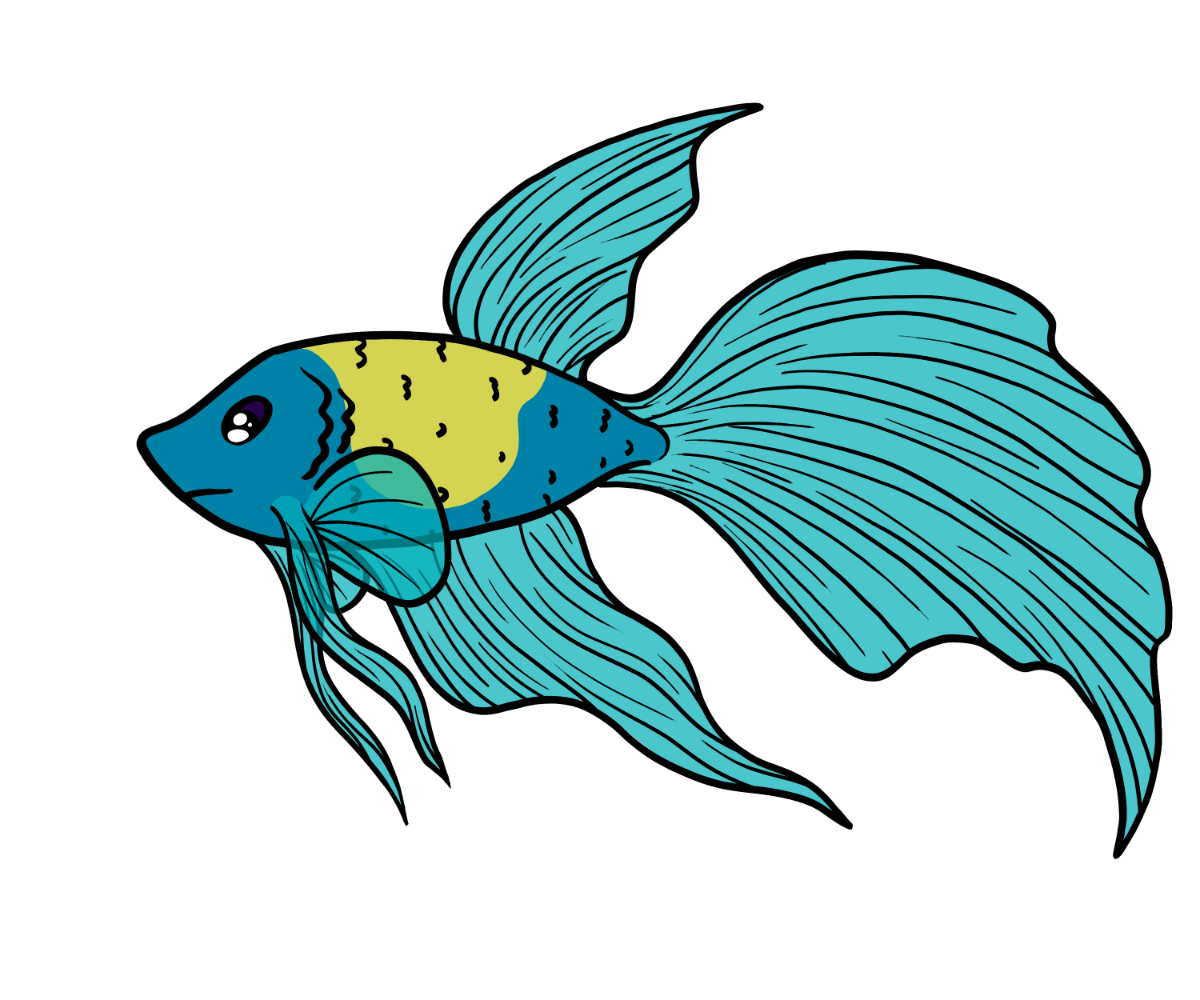 Compass Betta