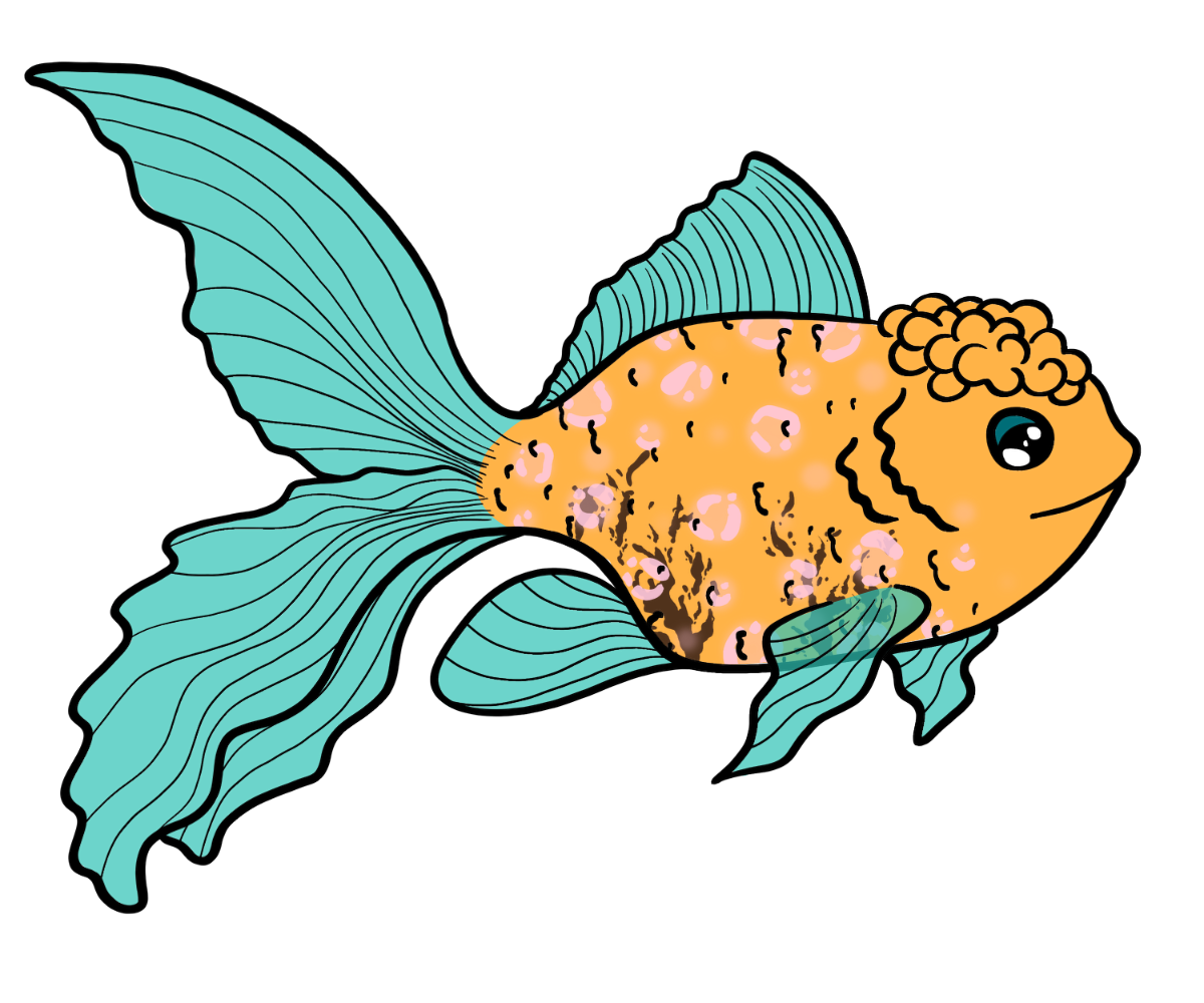 Bristle Goldfish