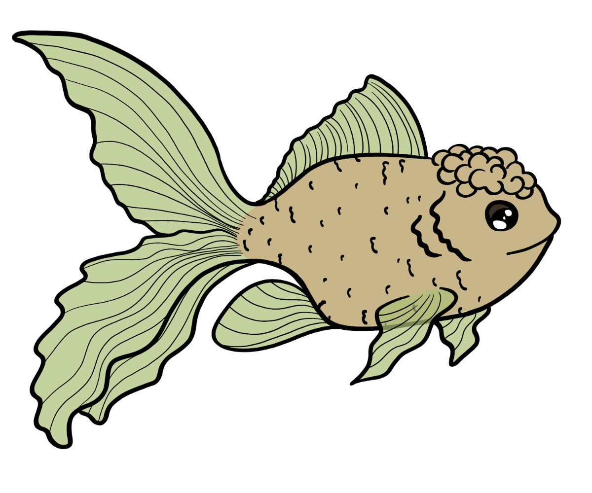 Whisper Goldfish