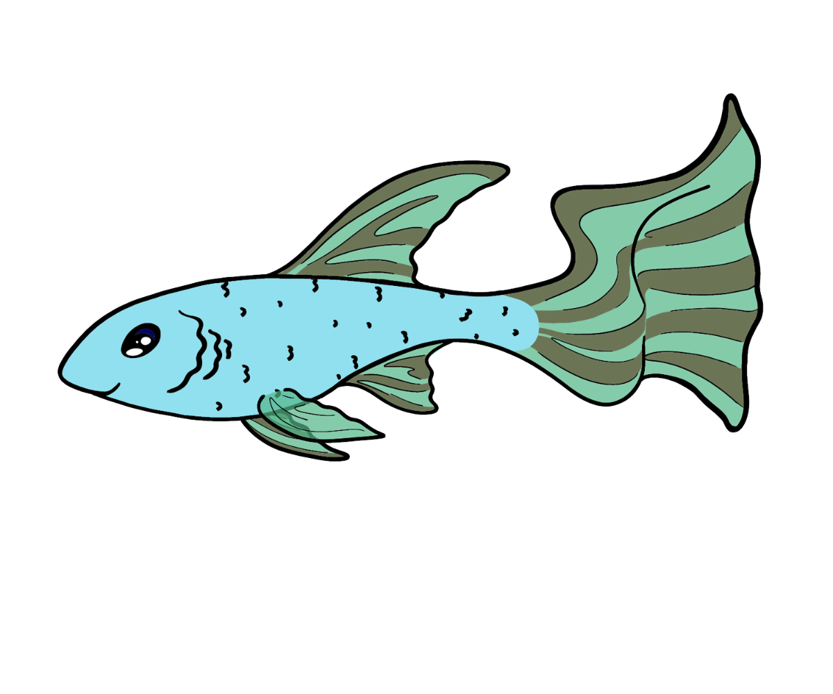 Sunny Ribbonfish