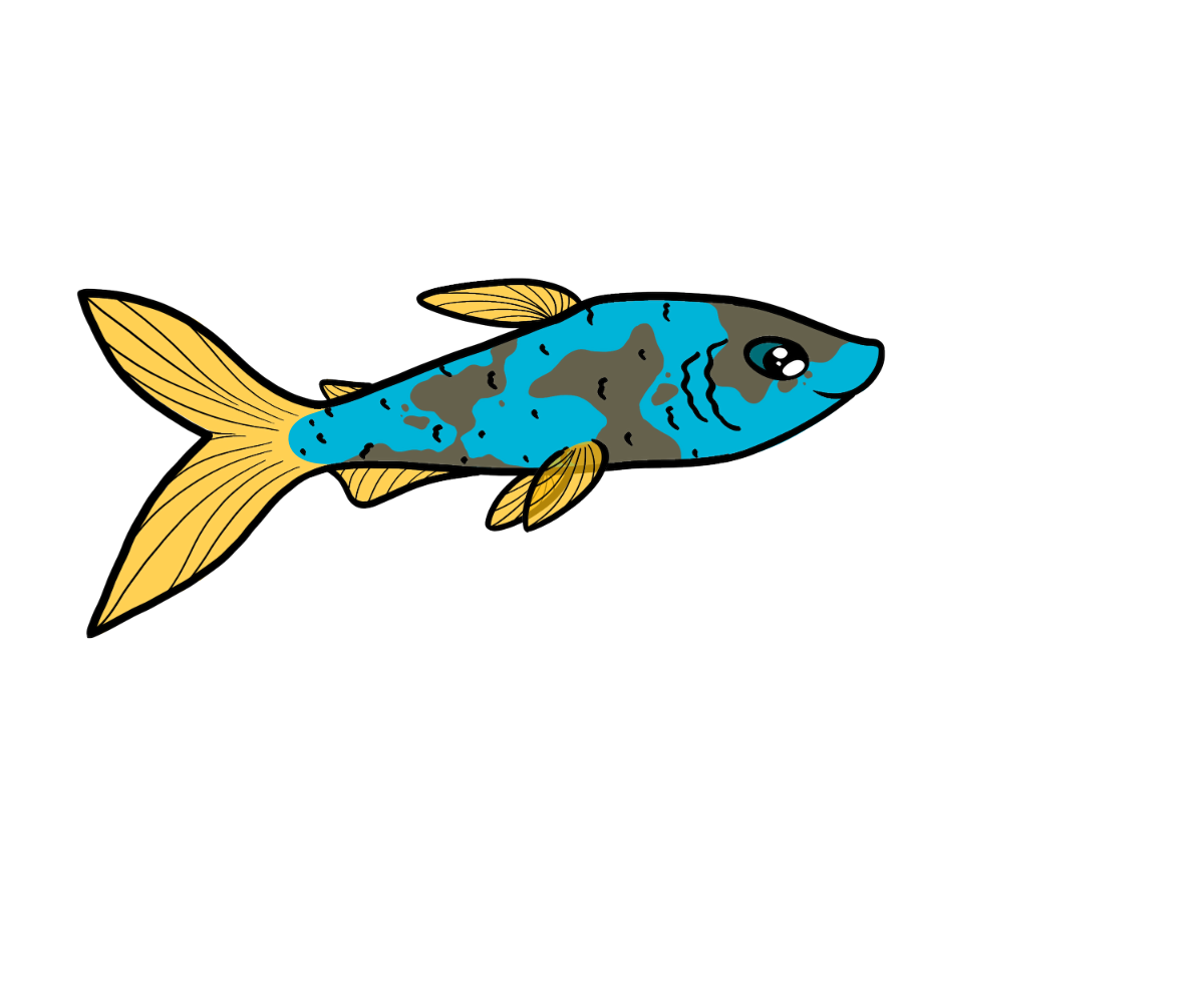 Lagoon Dartfish