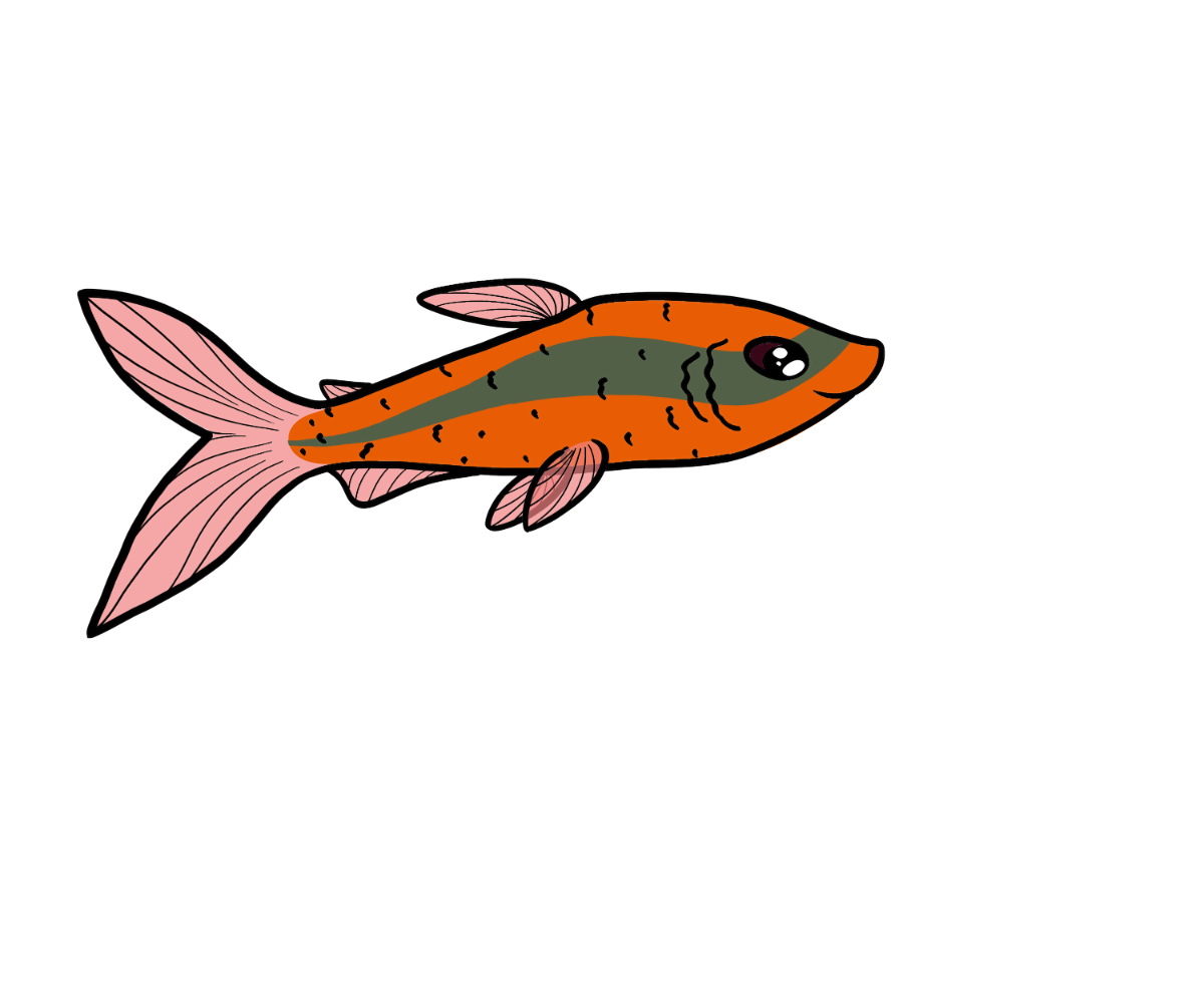 Coral Streamline