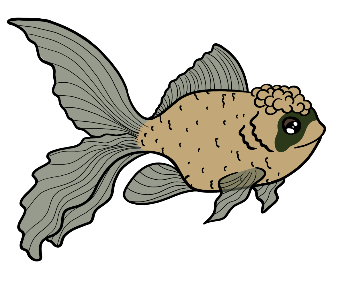 Zigzag Goldie