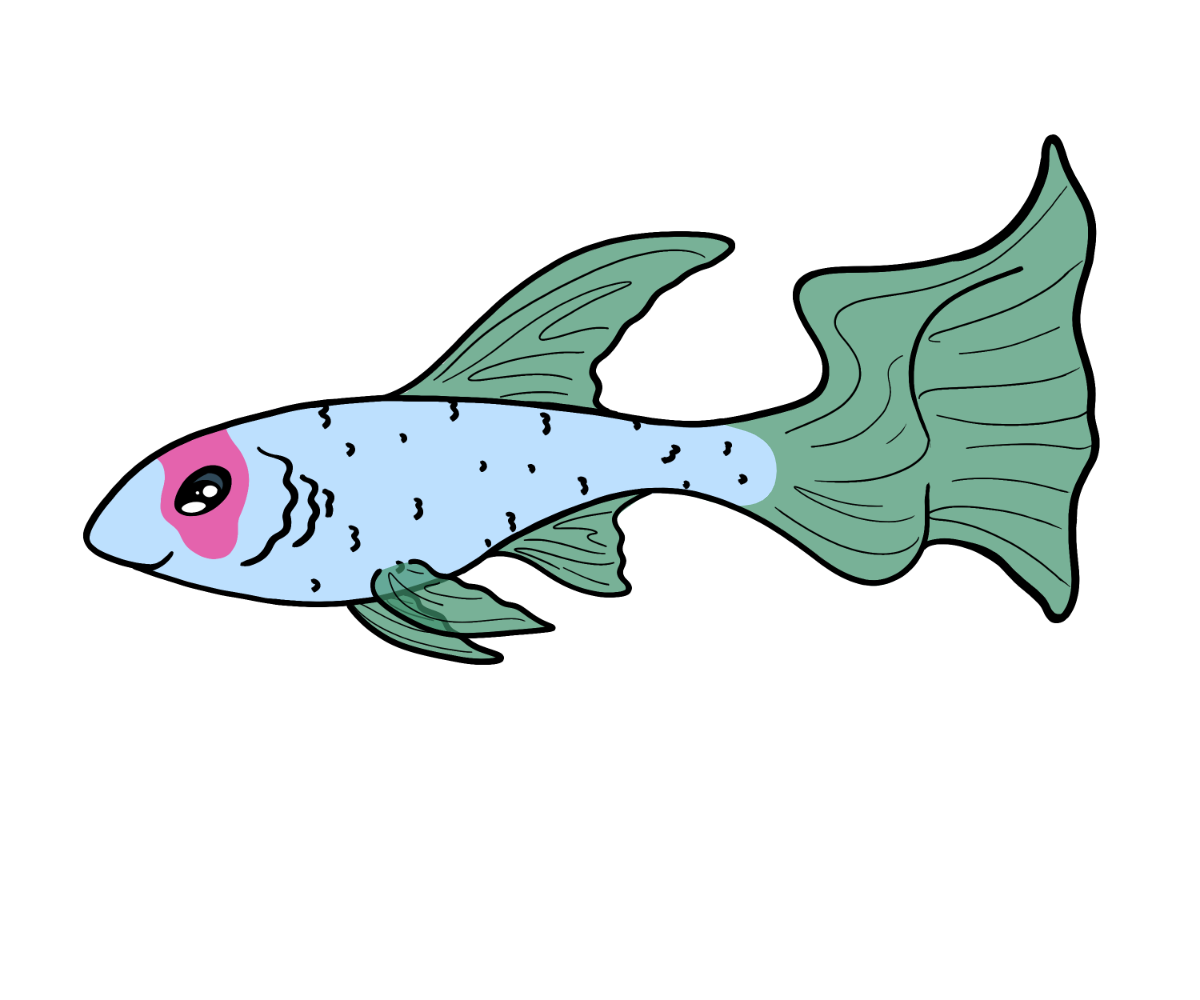 Hope Glimmerfin