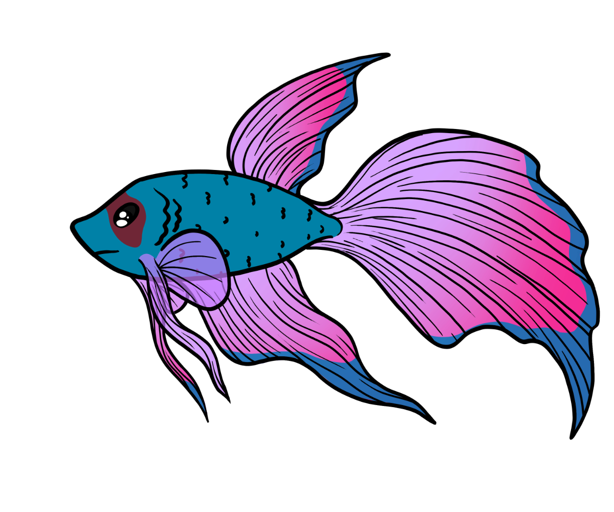 Veil Veilfin