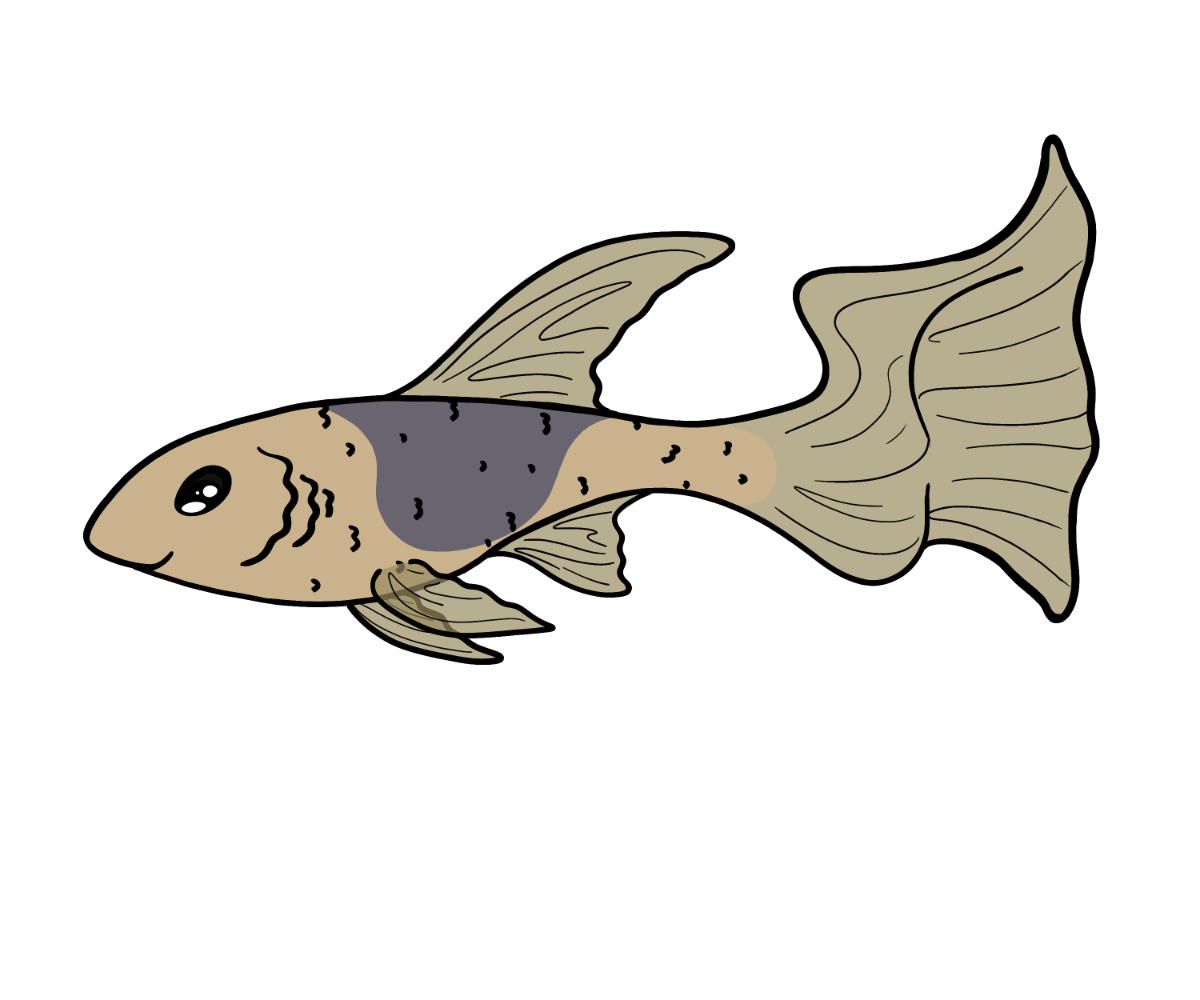 Tangle Ribbonfish