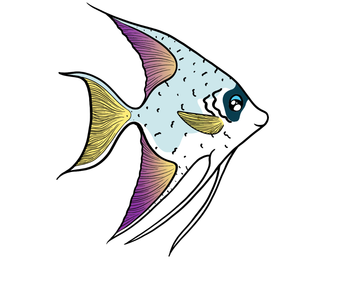 Phantom Angelfish