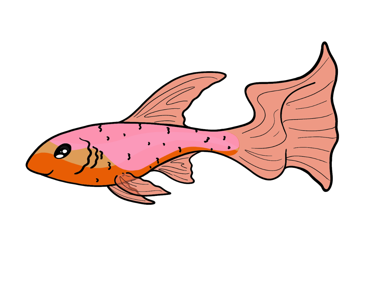 Scout Guppy