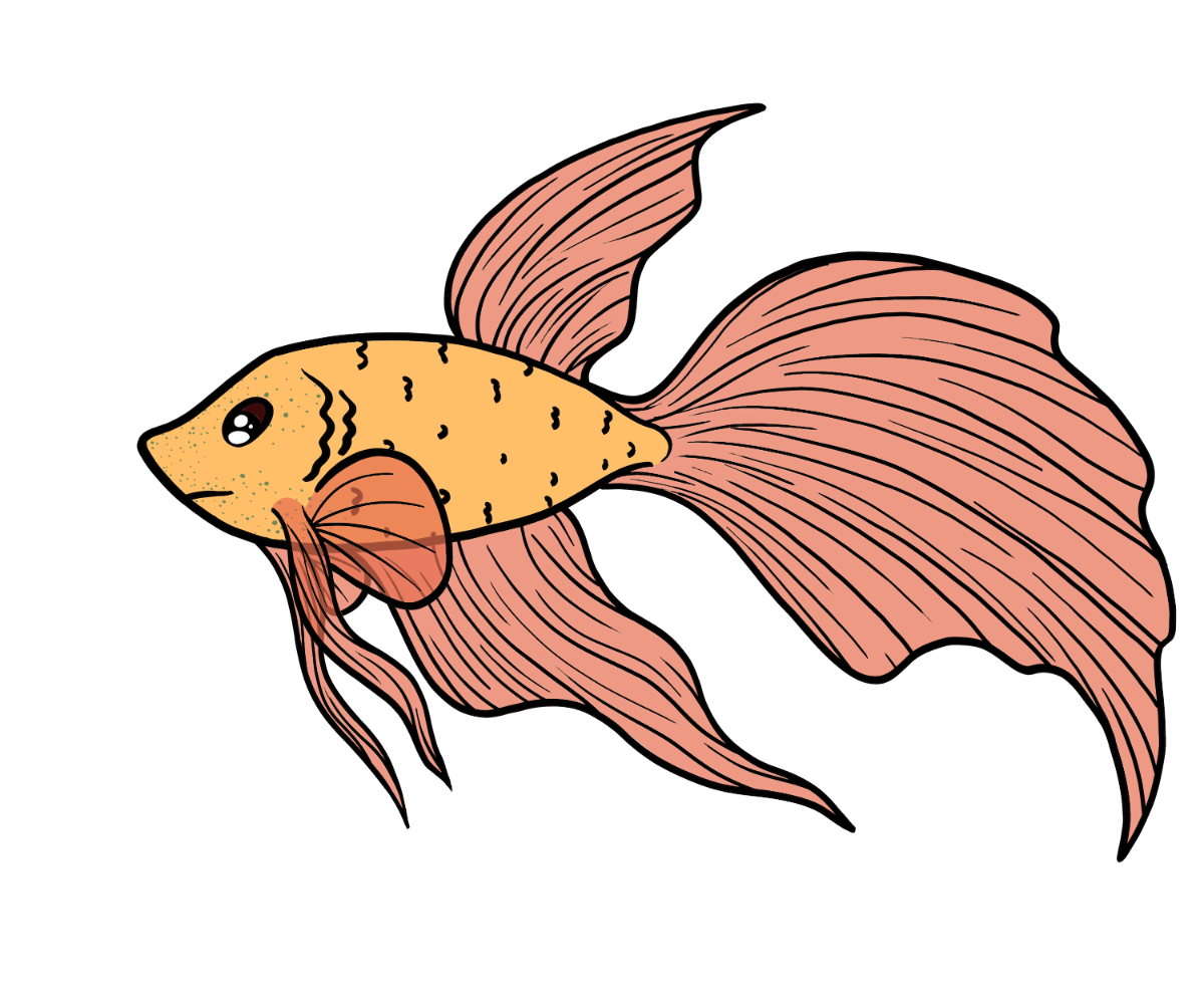 Misty Silkfin