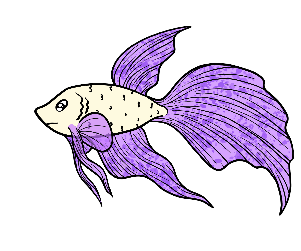 Bloom Rosefin