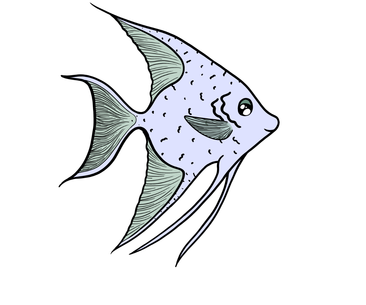 Minnow Wingfin